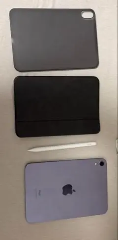 Apple iPad mini (第6世代) ケースペシルセット