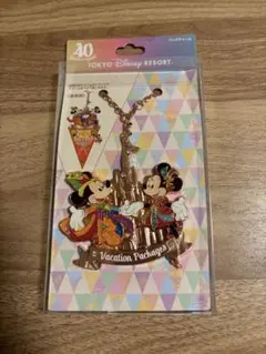 2025年最新】バケーションパッケージ 40周年 ディズニーの人気アイテム