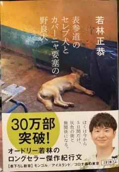 表参道のセレブ犬とカバーニャ要塞の野良犬