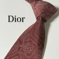 dior ネクタイ