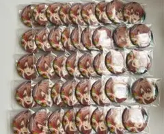 アイナナ 和泉三月 缶バッジ