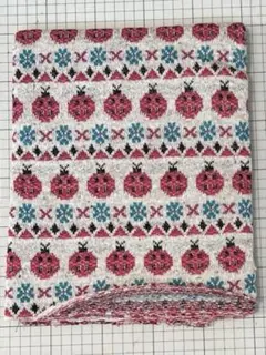 ジャガードニット　てんとう虫