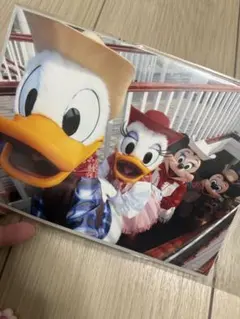 ディズニーリゾート　キャラクターフォト キャラクター写真 篠山紀信