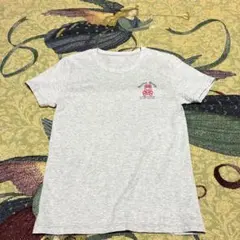 【美品】Psycho Bunny スカルウサギロゴ グレー Tシャツ Mのサムネイル