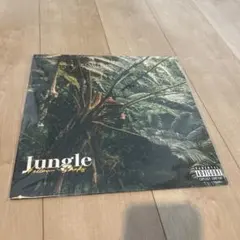 ¥ellow Bucks イエローバックスJungle緑色レコード ellow Bucks イエローバックスJungle緑色レコード 2025年最新