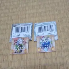 鬼滅の刃　ニジゲンノモリ　花降る里と幻の鬼巡り 特典　缶バッジ 2個セット