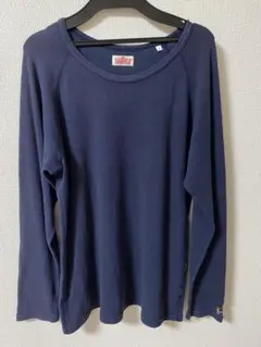 希少】ハリウッド ランチ マーケット 恐竜刺繍入り長袖Tシャツ メンズ