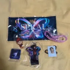 ✽世界　ガチャセット