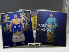 【大相撲】翔猿関 力色紙 2枚セット