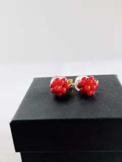 【天然石刺繍／イヤリング】つぶつぶ赤珊瑚
