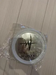 RAMPAGE メッセージ入りフリスビー　山本彰吾