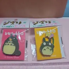 大トトロオカリナ&トトロ花のピンバッジセット