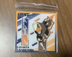 ハイキュー!! アクリルスタンド 日向翔陽 影山飛雄