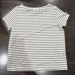 ストライプ 半袖Tシャツ Mのサムネイル