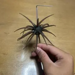コイケフルキャストのサムネイル