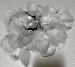 Item thumbnail for item 18095fca-7998-49ee-8903-bbc4119f6b8f