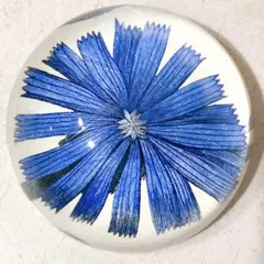 John Derian ペーパーウエイト ブルーフラワー