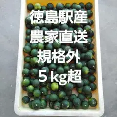 露地スダチ(二級品) 正味10kg超 - メルカリ