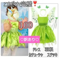 100【訳あり】4点セット✨ティンカーベル プリンセス コスプレ ハロウィン
