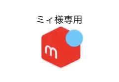 ミィ様 リクエスト 2点 まとめ商品