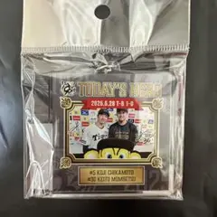 阪神タイガース　ヒーローグッズ#5.30