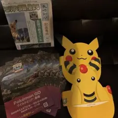 ポケモンGO ワイルドエリア 記念新聞セット