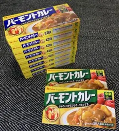 【10箱】1箱12皿分　ハウス食品　HOUSE　バーモントカレールゥ　辛口　中辛のサムネイル