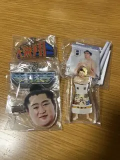 ⭐︎追手風部屋⭐︎大相撲ガチャ5点セット
