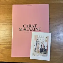 CARAT MAGAZINE vol.14 SEVENTEENのサムネイル