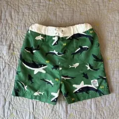 プティマイン　サメ柄 緑色 水着 男の子用　スイムパンツ　サイズ100