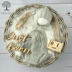 ニューボーンフォト　セット　うさぎ　かご　ファーマット ベビーフォト　新生児