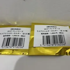 サンフレッチェ広島　アクリルキーホルダー　勝利時限定　新品未開封　2点