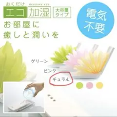 新品 未使用ちょこっとオアシスPLUS 携帯加湿器 乾燥 潤い 旅行 電源不要