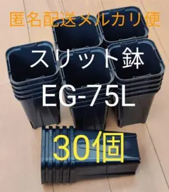スリット鉢 7.5cm 黒 角型 ロングタイプ EG-75L型 30個のサムネイル