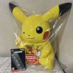一番くじ ポケモン 30周年 ラストワン賞 ピカチュウ メスのすがた　+J賞のサムネイル