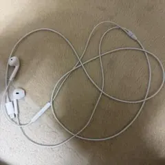 EarPods（USB-C）純正品