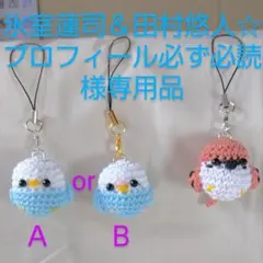 氷室蓮司＆田村悠人☆プロフィール必ず必読様専用品セキセイインコちゃんのあみぐるみ