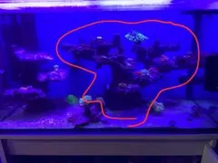 幅60x奥行き35x高さ35cm プラグ穴付き 人工ライブロック 海水水槽のサムネイル