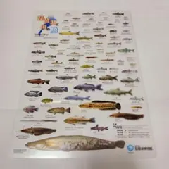 Item thumbnail for item 18b8130d-5661-4265-a55b-45cf56fa5583