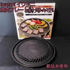 Item thumbnail for item ea1c4874-6883-4d97-a063-c36a52cd6ead