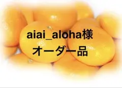 aiai_aloha様オーダー品