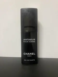 2026年最新】chanel antaeusの人気アイテム - メルカリ