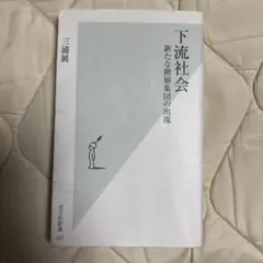 下流社会 : 新たな階層集団の出現