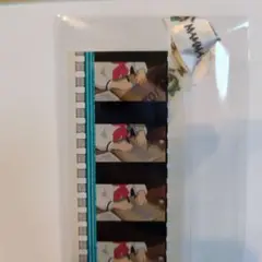 ジブリ フィルムブックマーカー １枚