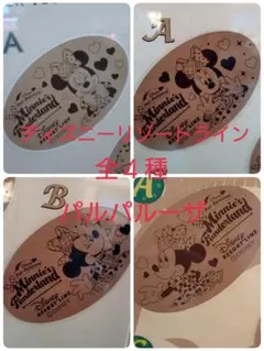 ディズニー　スーベニアメダル　ミニー　パルパルーザ　2026　リゾートライン