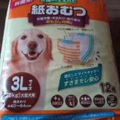 Item thumbnail for item e8066227-4b4f-4135-909f-638d815bdd7d