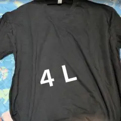 黒のTシャツ Lサイズ 綿100%