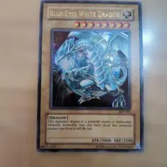 ジャンプ付録 遊戯王 英語版 ブルーアイズホワイトドラゴン JMP-001