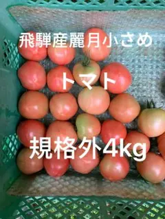 絶品、甘〜い❣️☆北海道産 スーパーフルーツトマト 規格外訳あり品