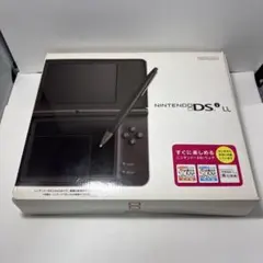 元箱　極美品　ニンテンドーDSi LL ブラウン　充電器&タッチペン付き